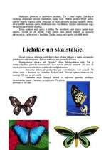 Referāts 'Tauriņi', 10.