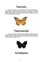 Referāts 'Tauriņi', 12.