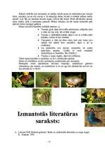 Referāts 'Tauriņi', 13.