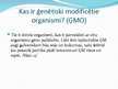 Prezentācija 'Ģenētiski modificētā pārtika', 4.