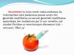 Prezentācija 'Ģenētiski modificētā pārtika', 9.