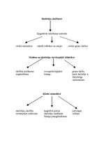 Konspekts 'Mācīšanas psiholoģisko metožu kopsavilkums', 1.
