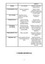 Biznesa plāns 'SIA "Merings"', 17.