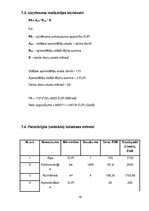 Biznesa plāns 'SIA "Merings"', 19.