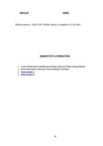 Biznesa plāns 'SIA "Merings"', 22.