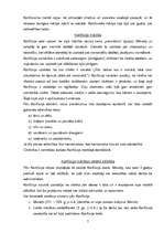 Referāts 'Konfūcisms', 6.