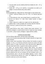 Referāts 'Konfūcisms', 7.