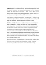 Biznesa plāns 'Sporta un atpūtas nometne', 4.