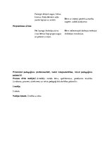 Referāts 'Kvalifikācijas prakse pirmsskolā', 8.