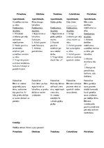 Referāts 'Kvalifikācijas prakse pirmsskolā', 9.