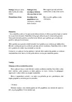 Referāts 'Kvalifikācijas prakse pirmsskolā', 16.