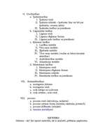 Konspekts 'Latvijas valsts un tiesību vēsture', 9.