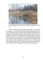 Diplomdarbs 'Amonija jonu koncentrāciju sezonālo izmaiņu noteikšana Daugavpils ūdenstilpēs', 48.