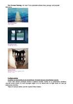 Konspekts 'Pols Virilio "A Pitiless Art"', 4.