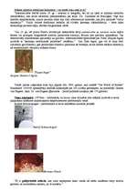 Konspekts 'Pols Virilio "A Pitiless Art"', 7.