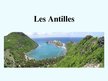 Referāts 'Antilles', 6.