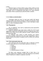 Referāts 'Uzņēmuma peļņa un tās rādītāji', 13.