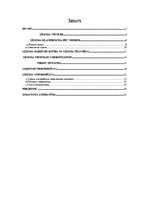 Referāts 'Līzings kā finansējuma veids', 2.