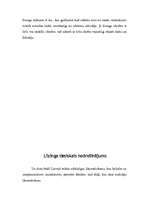 Referāts 'Līzings kā finansējuma veids', 14.