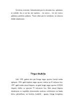 Referāts 'Līzings kā finansējuma veids', 16.