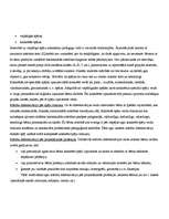 Referāts 'Mācību procesa individualizācija un diferenciācija', 3.