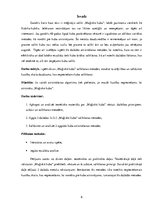 Referāts 'Ernē Rubika "Maģiskā kuba" atrisināšanas metodes un to salīdzinājums', 6.