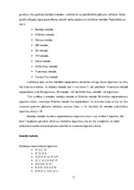 Referāts 'Ernē Rubika "Maģiskā kuba" atrisināšanas metodes un to salīdzinājums', 17.