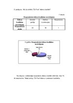 Referāts 'SIA "Pica serviss" tirgus vides novērtējums', 16.