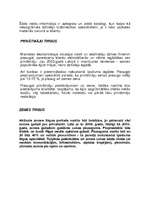 Referāts 'Nekustamā īpašuma tirdzniecība', 5.