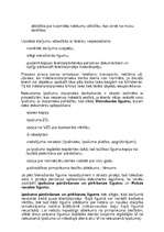 Referāts 'Nekustamā īpašuma tirdzniecība', 7.