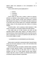 Referāts 'Tūrisma reklāma', 12.