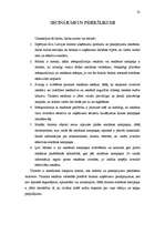 Referāts 'Tūrisma reklāma', 31.