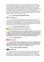 Konspekts 'Esplanādes funkcionālais zonējums', 3.