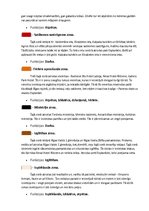 Konspekts 'Esplanādes funkcionālais zonējums', 4.