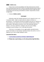 Konspekts 'Esplanādes funkcionālais zonējums', 5.