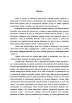Diplomdarbs 'Lēmuma par administratīvā soda uzlikšanu tiesiskā daba', 2.
