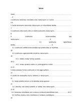 Prakses atskaite 'Prakses atskaite SIA "Arkolat"', 2.