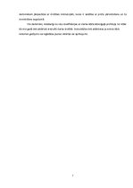 Prakses atskaite 'Prakses atskaite SIA "Arkolat"', 7.