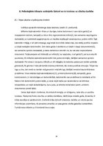 Prakses atskaite 'Prakses atskaite SIA "Arkolat"', 24.