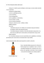 Prakses atskaite 'Prakses atskaite SIA "Arkolat"', 30.