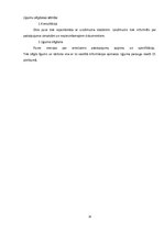 Prakses atskaite 'Prakses atskaite SIA "Arkolat"', 35.