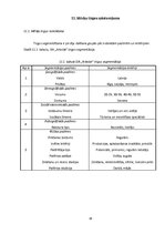 Prakses atskaite 'Prakses atskaite SIA "Arkolat"', 36.