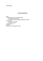 Referāts 'Tiesību būtība', 1.