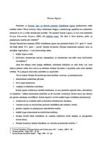 Referāts 'Eiropas Savienības izveide un attīstības vēsture (1951. - 2000.)', 7.