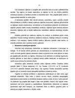 Referāts 'Cenu veidošana un mārketings loģistikā', 23.