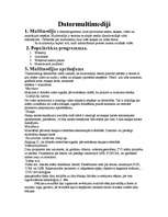 Konspekts 'Datoru multimediji', 1.