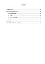 Referāts 'Veras Hitilovas filmas "Margrietiņas" vizuālo elementu analīze', 3.