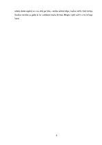 Referāts 'Veras Hitilovas filmas "Margrietiņas" vizuālo elementu analīze', 5.