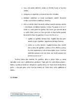 Referāts 'Veras Hitilovas filmas "Margrietiņas" vizuālo elementu analīze', 9.