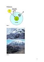 Referāts 'Siltumnīcas efekts', 11.